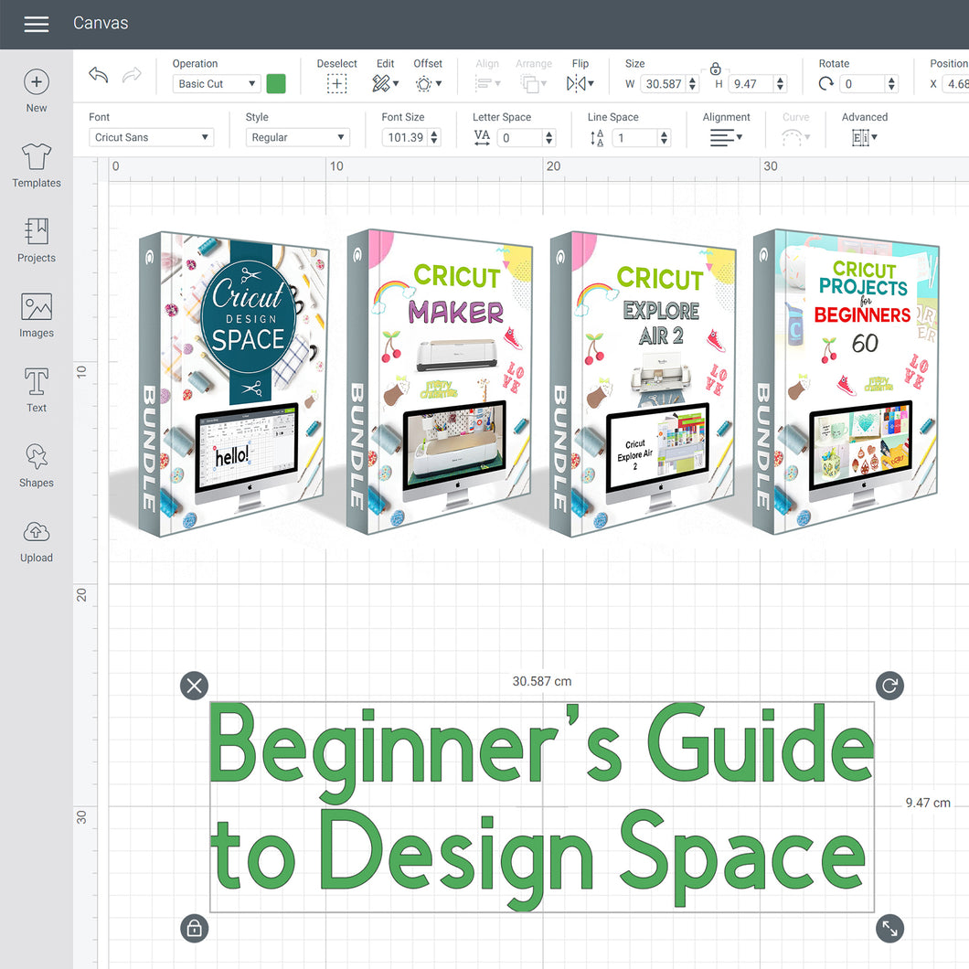 Learn all the secrets of Cricut - Get the special 4 books Bundle.